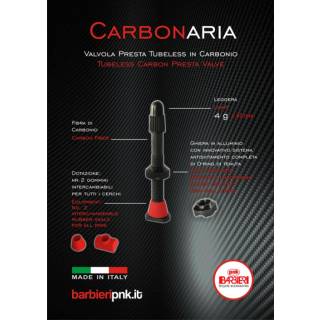 Barbieri Tubeless-Ventil Carbonaria schwarz Carbon, SV, 45mm, 2er Set