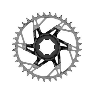 SRAM Kettenblatt T-Type XX Eagle Brose 34T, Direct Mount
