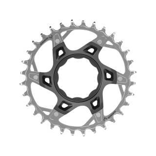 SRAM Kettenblatt T-Type XX Eagle TQ 32T, Direct Mount