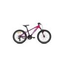 BH Monty KX5 2023