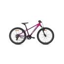 BH Monty KX7 2023