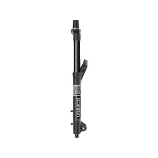 RockShox Domain Gold Isolator RC3 29 170mm, schwarz 44mm Offset, 15x110 (boost)
