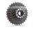 Miche Supertype 12s Kassette 11-32t Shimano